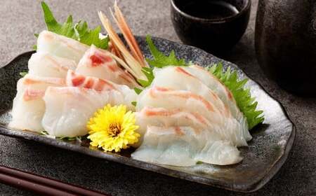 天草の味が楽しめる♪ 真鯛のお刺身【4～5人前】 