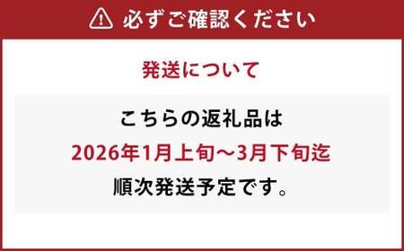 吉次いちご 24~33粒 700g以上【2026年1月上旬~3月下旬迄順次発送予定】果物 フルーツ イチゴ 苺