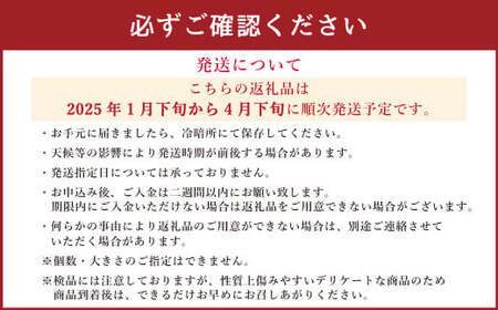 訳あり 不知火 計7kg 【2026年1月下旬～4月下旬迄順次発送予定】