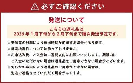 デコポン 約5kg 【2026年1月下旬～2月下旬迄順次発送予定】 みかん ミカン 蜜柑 くだもの 果物 柑橘 フルーツ 熊本県産