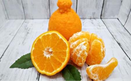 デコポン 約5kg 【2026年1月下旬～2月下旬迄順次発送予定】 みかん ミカン 蜜柑 くだもの 果物 柑橘 フルーツ 熊本県産