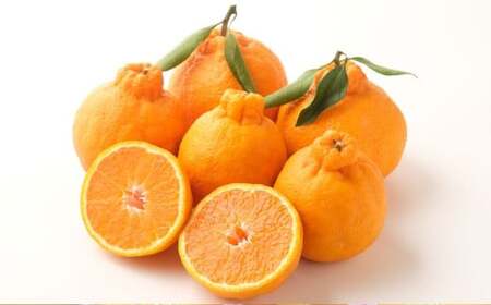 デコポン 約5kg 【2026年1月下旬～2月下旬迄順次発送予定】 みかん ミカン 蜜柑 くだもの 果物 柑橘 フルーツ 熊本県産