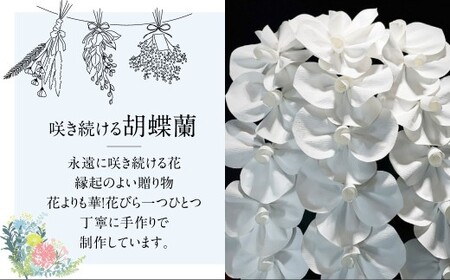 SuperFlower「胡蝶蘭ギフト」 伝統工芸花 工芸花 スーパーフラワー 国産 日本製 熊本県産 胡蝶蘭 コチョウラン こちょうらん  熊本県 熊本市
