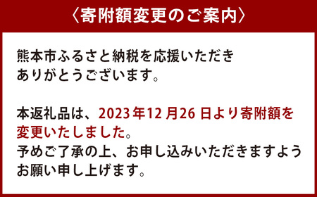 熊本 いきなり団子 20個 和菓子 お団子