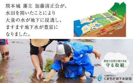 【定期便6ヶ月】い・ろ・は・す（いろはす）阿蘇の天然水 540mlPET×24本(2ケース）×6回