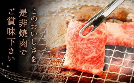 くまもと 黒毛和牛 ロース 焼肉 用 400g 国産 和牛