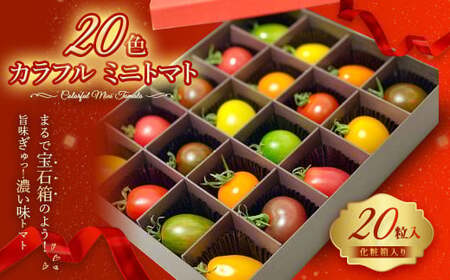 20色 カラフル ミニトマト 20粒 トマト 完熟