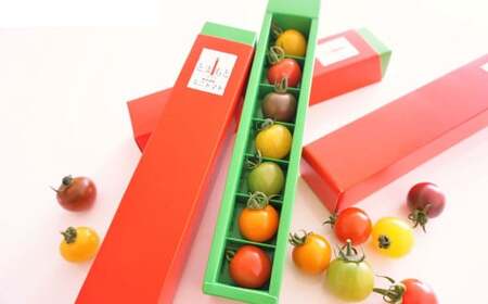7色 カラフル ミニトマト 7粒×4箱セット トマト 完熟 | 熊本県熊本市