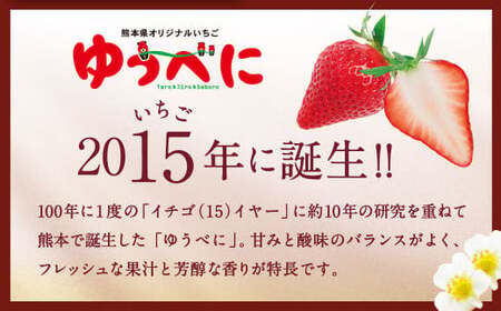熊本産 ゆうべに 250g×4パック 計1kg【2026年2月上旬~下旬発送予定】