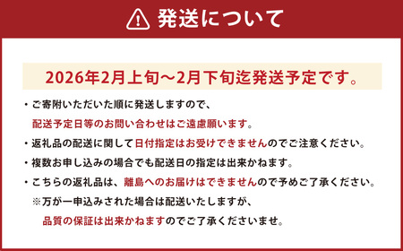熊本産 ゆうべに 250g×4パック 計1kg【2026年2月上旬~下旬発送予定】
