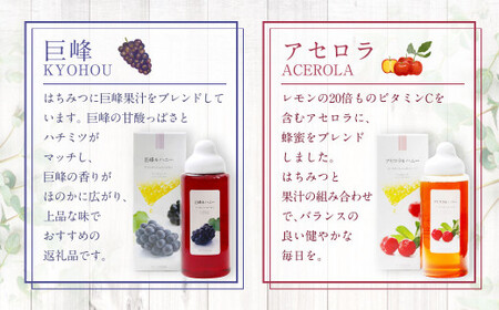 熊本 杉養蜂園 【ゆず蜜×ゆず蜜】果汁入り はちみつ 計1kg 蜂蜜