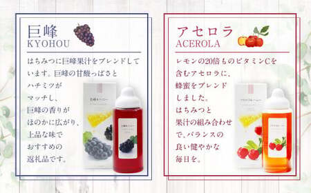 熊本 杉養蜂園 【ゆず蜜×アセロラ】果汁入り はちみつ 500g 2種