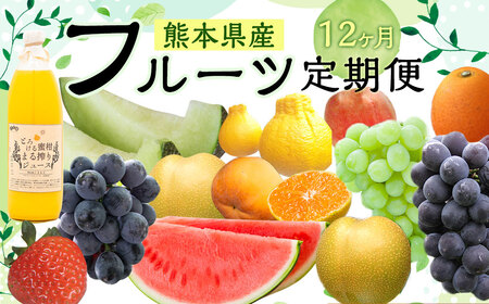 熊本フルーツ 定期便12回 フルーツ 果物 メロン すいか 不知火 ギフト いちご きんかん 巨峰 みかん 大秋柿 贈答