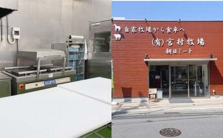 純熊本県産 馬刺しセット(小) 馬刺し 300g 馬肉 上赤身 霜降り 上霜降り