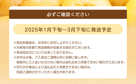 【規格外品】不知火 (デコポンと同品種) ご家庭用 10kg サイズ不選別【2025年1月下旬～3月下旬発送予定】しらぬい みかん 果物 くだもの フルーツ