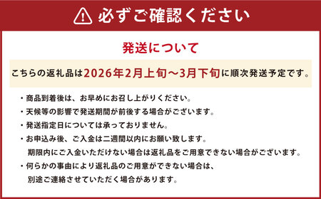 【規格外品】はるか ご家庭用 10kg サイズ不選別 サラダみかん 柑橘 ミカン 果物  【2026年2月上旬～3月下旬迄発送予定】