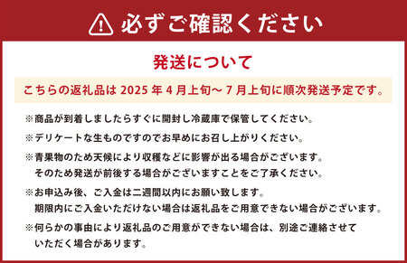 熊本産 小玉すいか＆肥後グリーンメロン【2025年4月上旬～7月上旬発送予定】すいか メロン 果物 フルーツ