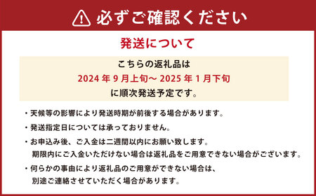 熊本市産 厳選 極上蜜柑 5kg【2024年9月上旬～2025年1月下旬発送予定】 みかん ミカン 柑橘