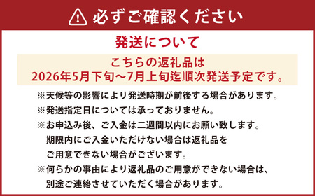 熊本市産 桃 約1.8kg 季節の品種をお届け【2026年5月下旬~7月上旬迄順次発送開始】 果物 フルーツ モモ