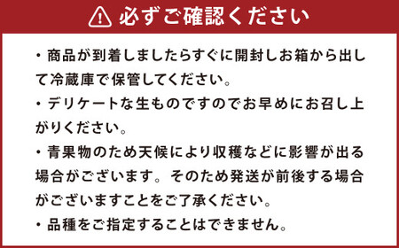 熊本市産 桃 約1.8kg 季節の品種をお届け【2026年5月下旬~7月上旬迄順次発送開始】 果物 フルーツ モモ