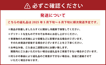 熊本産 金色羅皇 1玉 7キロ以上【2025年5月下旬～6月下旬発送予定】 西瓜 すいか スイカ 果物 フルーツ くだもの