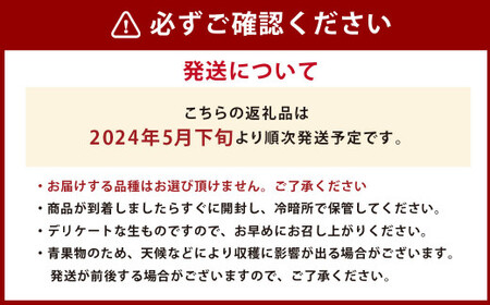 【2024年5月下旬発送開始】熊本県産 小玉すいか 2玉 スイカ 果物 フルーツ くだもの 西瓜