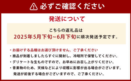 【2024年5月下旬発送開始】熊本県産 小玉すいか 2玉 スイカ 果物 フルーツ くだもの 西瓜