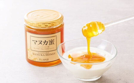 【12ヶ月定期便】 ニュージーランド産 マヌカ蜜 約500g 瓶