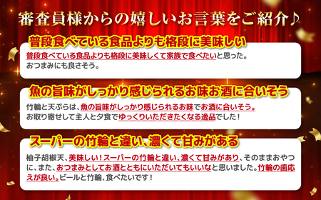 【着日指定必須】日奈久竹輪 天ぷらセット（梅）ちくわ ちぎり天 ピリ辛天 柚子こしょう天