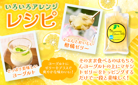 熊本県 八代市産 晩白柚 ゼリー「マキシト ゼリー」セット(5袋入り) ばんぺいゆ 柑橘 手作り