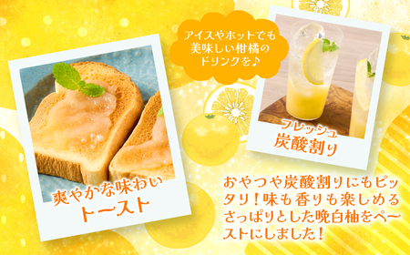 熊本県 八代市産 晩白柚 ペースト「マキシト」セット（合計1010g） ばんぺいゆ 柑橘 手作り