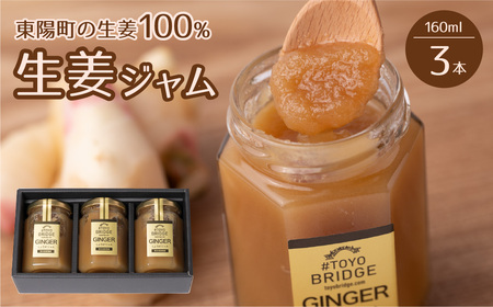 東陽町の生姜100％ 生姜ジャム3本セット 合計480ml (160ml×3本) しょうが ショウガ 温活 冷え対策 朝ごはん おやつ 熊本県 八代市
