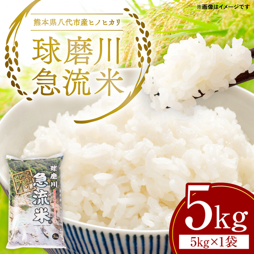 《令和7年産》熊本県八代市産 球磨川急流米 ヒノヒカリ 5kg 国産 白米 精米 お米 コメ 米 ライス ご飯 ごはん 白飯