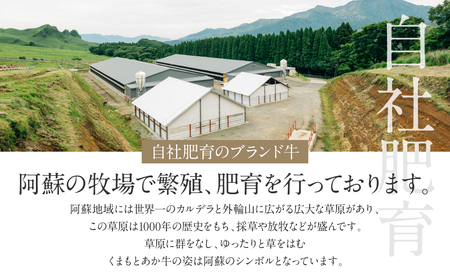 【GI認証】くまもとあか牛シンシンブロック 300g×2枚