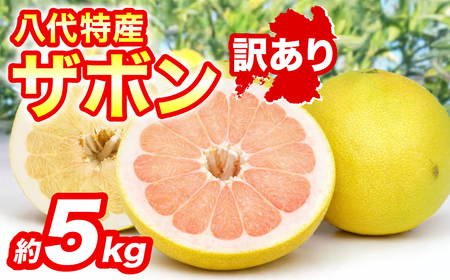 【先行予約】 【訳あり】 八代ザボン (赤肉または白肉) 約5kg (3～6玉)  果物 くだもの 果汁 柑橘 おやつ フルーツ デザート 熊本県 八代市 【2026年11月上旬より順次発送】