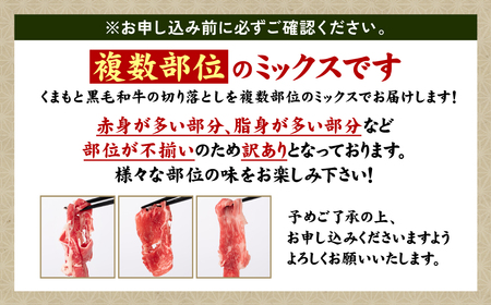 【訳あり】 くまもと黒毛和牛 切り落とし 340g 毎月数量限定 ミックス 牛肉