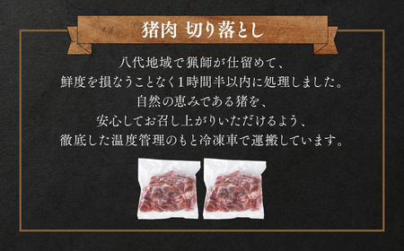 猪肉 切り落とし 合計800g(モモ・ウデ)ボタン肉 いのしし 400g×2パック