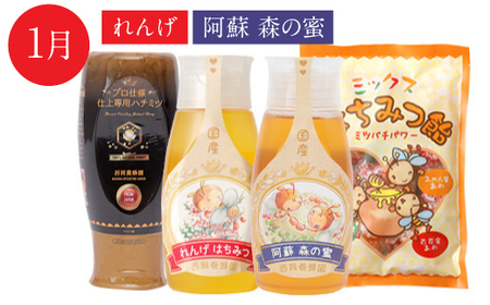 定期便 年4回】仕上げ専用蜂蜜 ポリチューブ蜂蜜2本 蜂蜜あめ袋セット | 熊本県八代市 | ふるさと納税サイト「ふるなび」