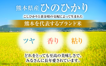 【令和7年産】 熊本県産 くまモンひのひかり 10kg (5kg×2袋) 米 お米 精米 白米 ごはん ご飯 熊本