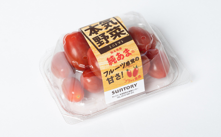 ミニトマト 純あま 130g×4パック トマト 完熟 野菜 甘い 熊本県産【2025年4月中旬より順次発送】