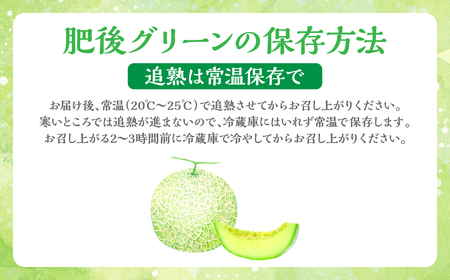 肥後グリーン 2玉 (1玉あたり約1kg超) メロン 果物 フルーツ