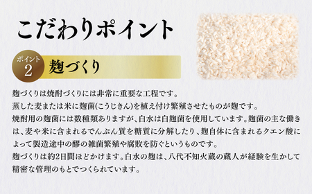 八代不知火蔵 蔵酵母 華酵母 米芳醇 焼酎 飲み比べ 720ml 各1本 (計3本) 瓶