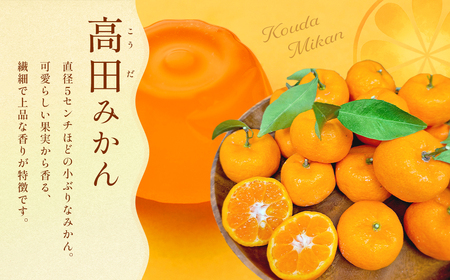 高田みかんゼリー 8個入