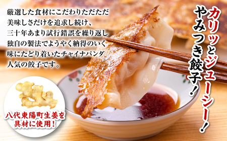 羽根つき冷凍生餃子1パック(28個入) たれとラー油付