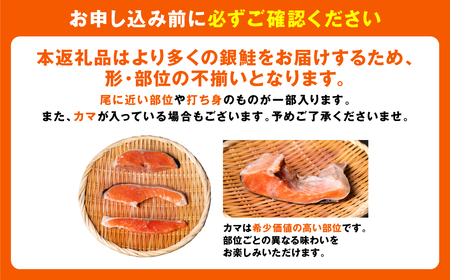 【訳あり】 銀鮭 切り身 たっぷり合計 1kg (鮭 塩鮭 サケ サーモン 甘塩 切身 切り身 大容量 人気の鮭 カマ 希少 魚 鮮魚 冷凍)
