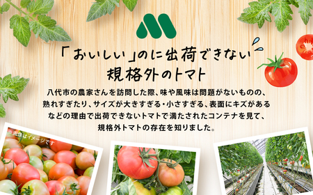 モスバーガー厳選 規格外トマトのスパイシーチキンカレー 冷凍 調理済み 食品 熊本県 八代市 コラボ