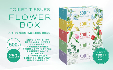 【定期便3回】【毎月お届け】【スコッティ】ティシュー フラワーボックス 250組 5箱パック×6セット 合計30箱 ティッシュ 日用品 生活必需品