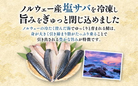 【訳あり】昆布塩サバ 合計約3.3kg 鯖 さば 真鯖 真サバ 真さば 鮮サバ 鮮さば 鮮鯖 鮮魚 冷凍 鯖の塩焼き 鯖の味噌煮 惣菜 お弁当 おつまみ