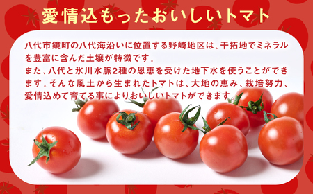 ミニトマト1kg トマト とまと ミニトマト プチトマト 野菜 やさい 旬の野菜 新鮮な野菜 地元産野菜 旬のやさい 新鮮なやさい ご当地 国産 特産品 お取り寄せ ギフト プレゼント 家庭用 食卓