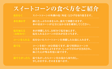 【先行予約】 熊本県八代市産「天使のコーン」2L～3Lサイズ 合計10本入り スイートコーン とうもろこし コーン料理 とうもろこし料理 【2026年5月中旬より順次発送】